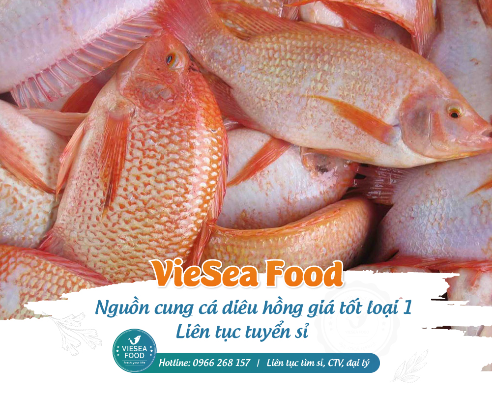 Viesea Food - Nguồn Cung Cá Diêu Hồng Tươi Sống, Cá Diêu Hồng Phi Lê