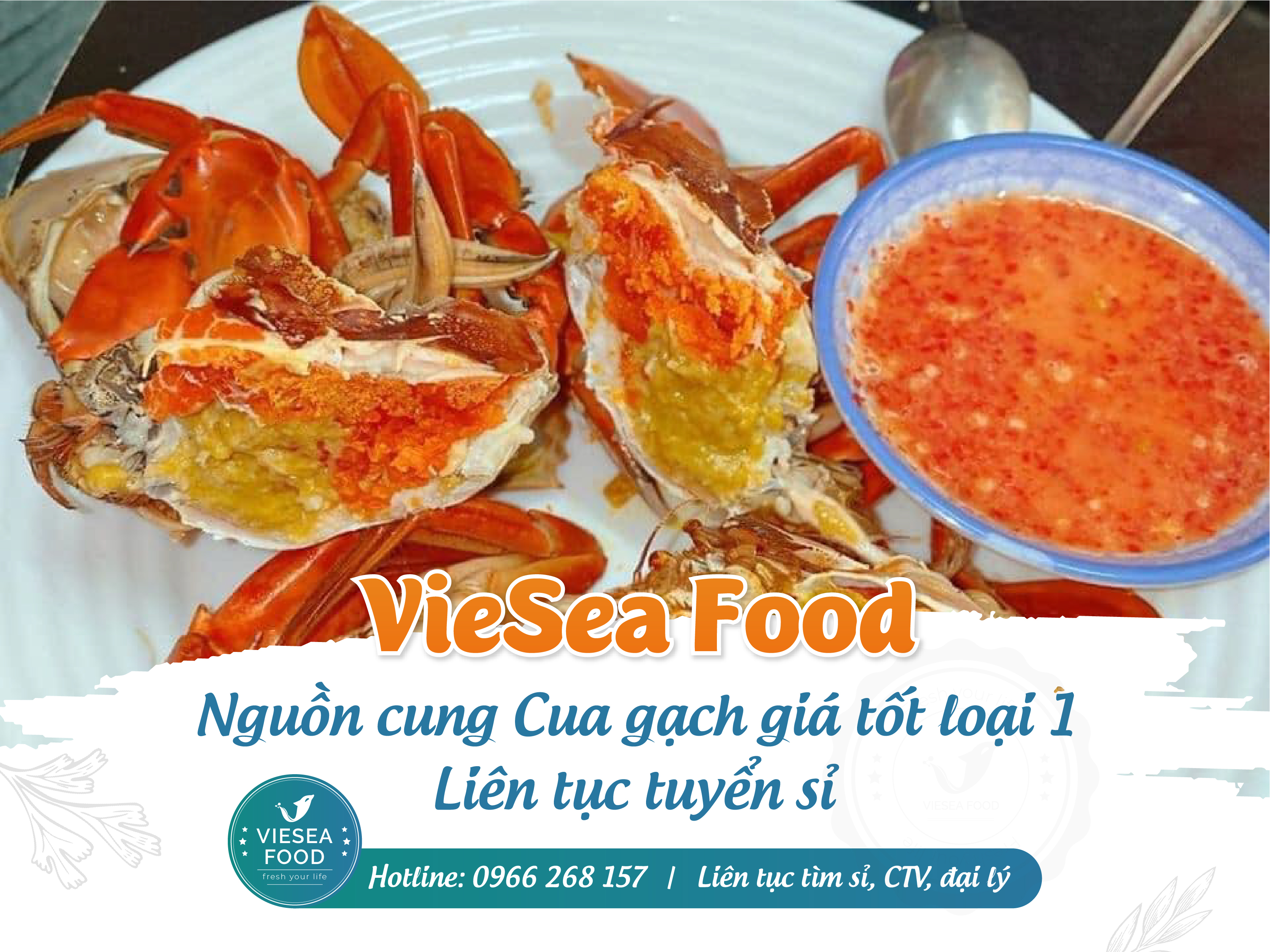 Nguồn cung cua gạch ngon loại 1 - đều mẩy, khoẻ, nhiều gạch béo. 