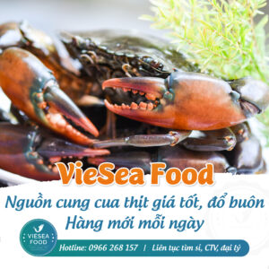 Nguồn hải sản tươi ngon đến từ Viesea Food