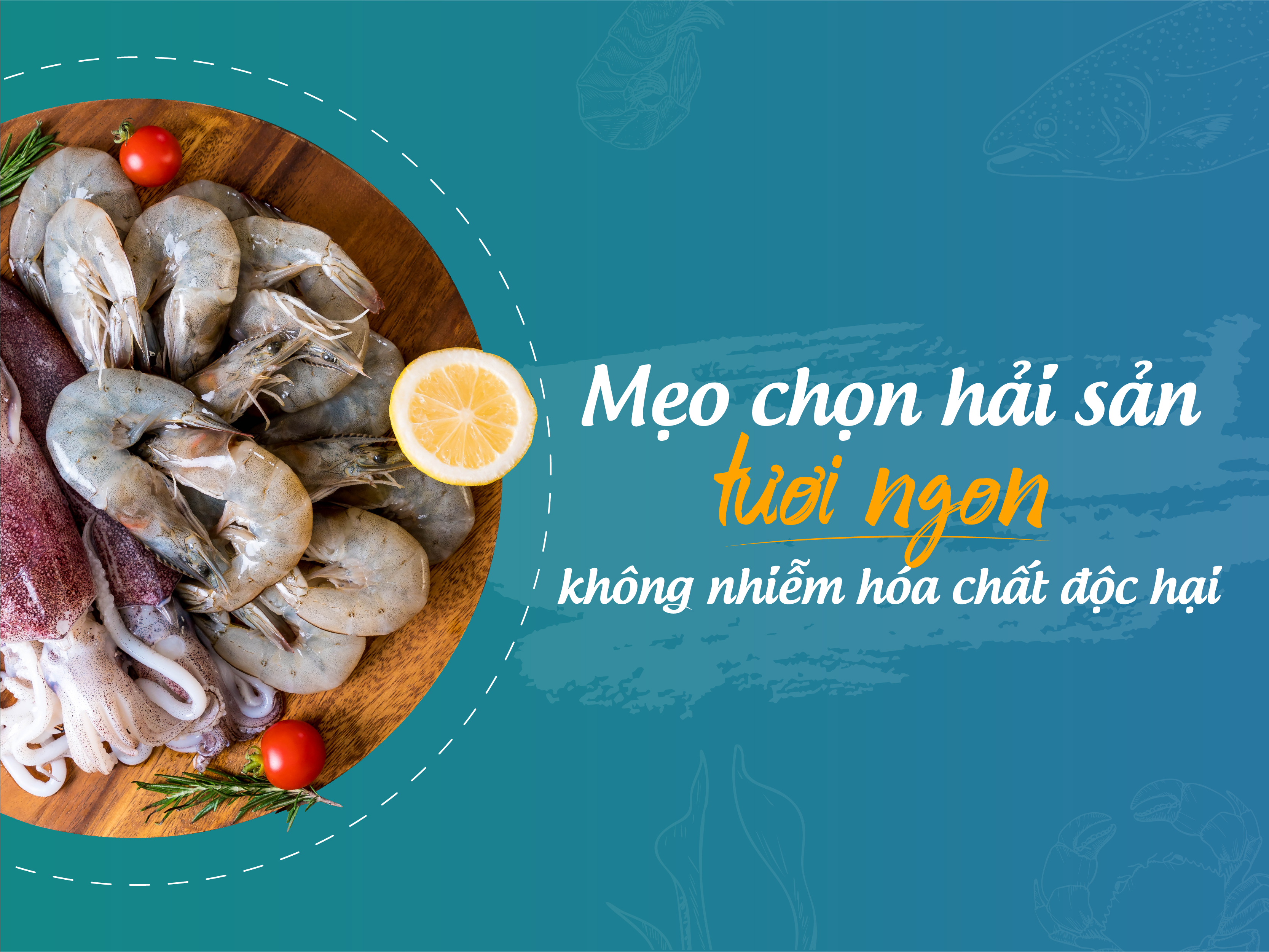 Mẹo chọn hải sản tươi ngon không nhiễm hóa chất độc hại