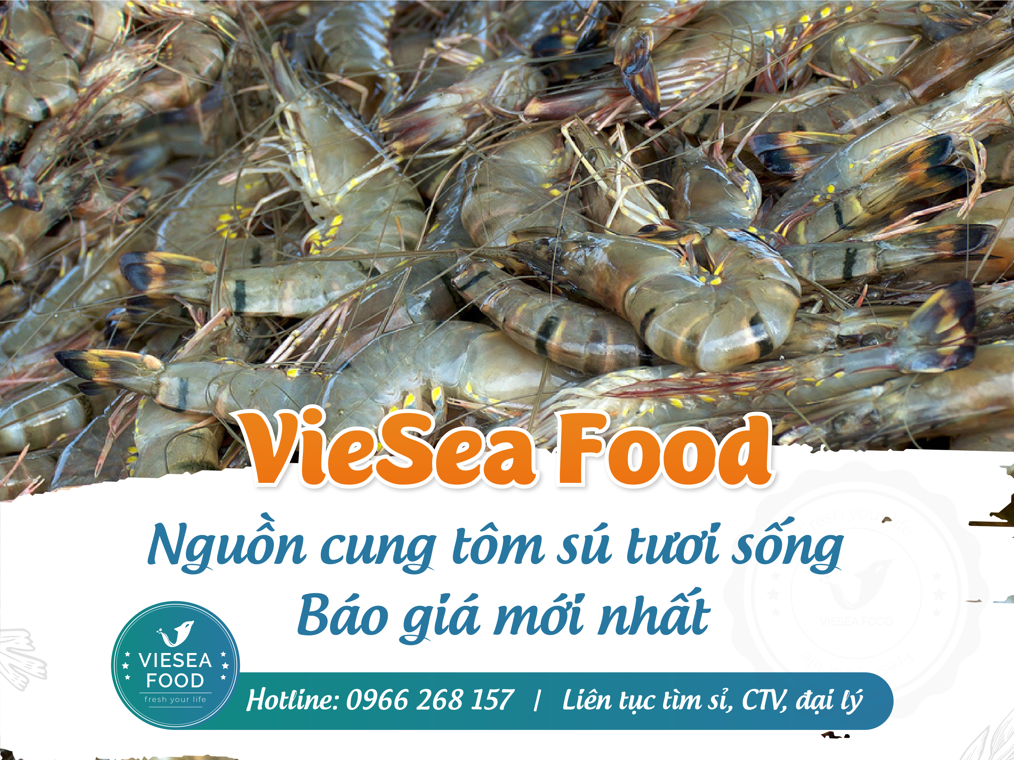 Nguồn tôm tươi sống từ Viesea Food