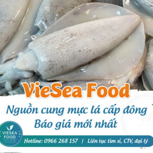 Mực lá Viesea Food được nhập tươi sống trực tiếp từ các vùng biển lớn trong nước