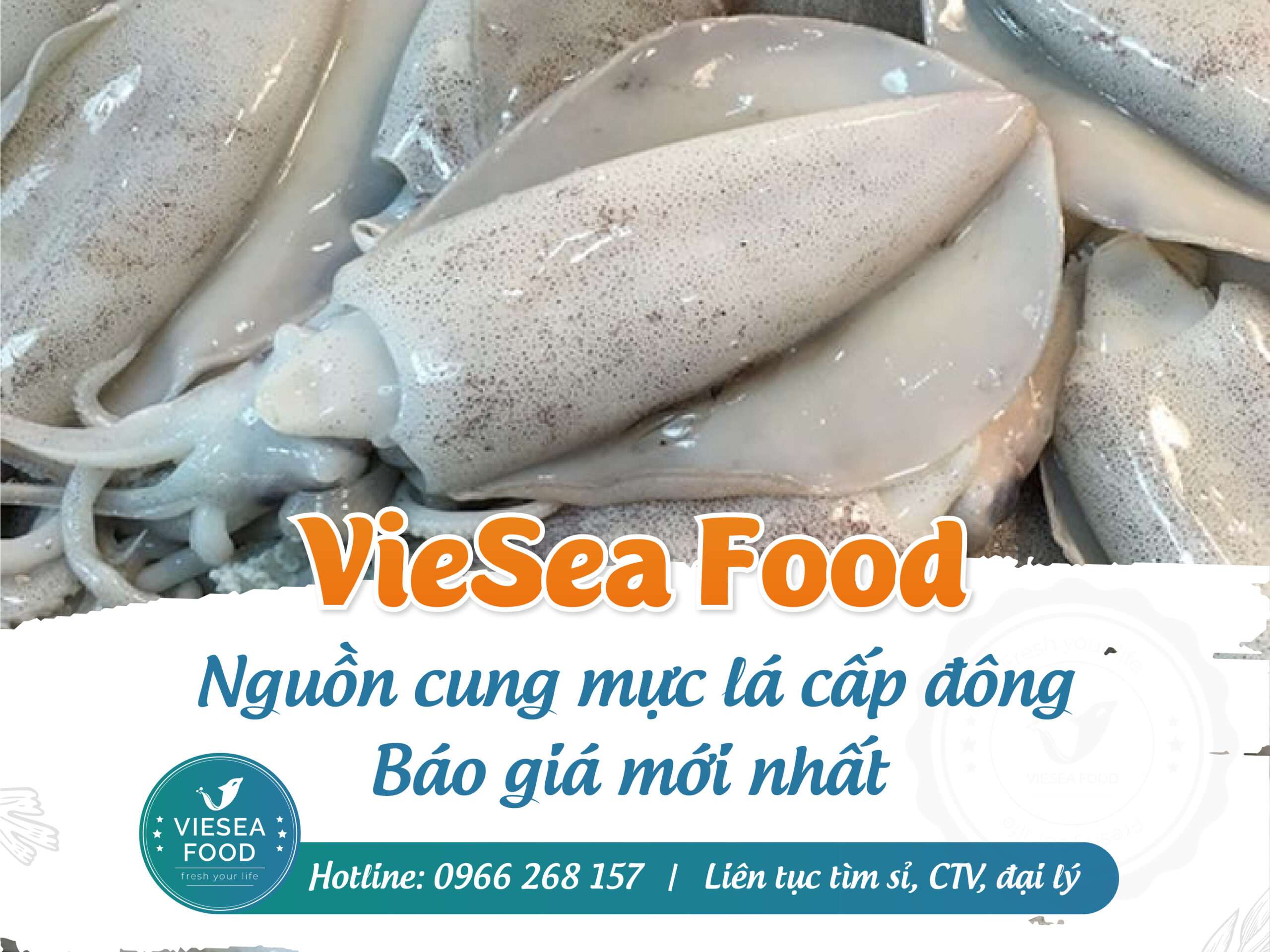 Mực lá Viesea Food được nhập tươi sống trực tiếp từ các vùng biển lớn trong nước