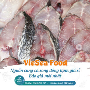 Nguồn Cung Cá Song đông Lạnh