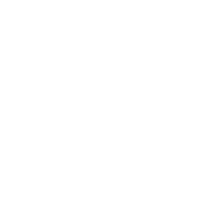 Logo Viesea White